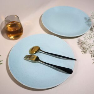 Stoneware Dinner Plates – Set of 2 | Handcrafted Light Blue Ceramic Plates | Oven, Microwave & Dishwasher Safe | Elegant Dinnerware for Dining, Gifting & Everyday Use | Made in India